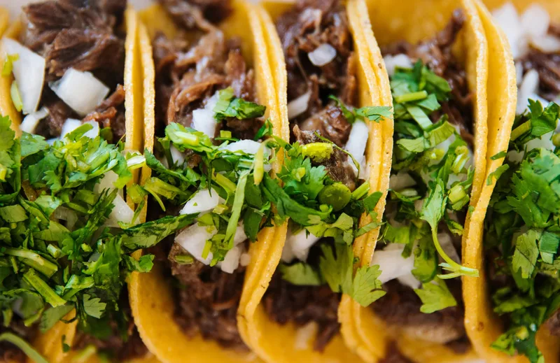 Detailed taco close-up