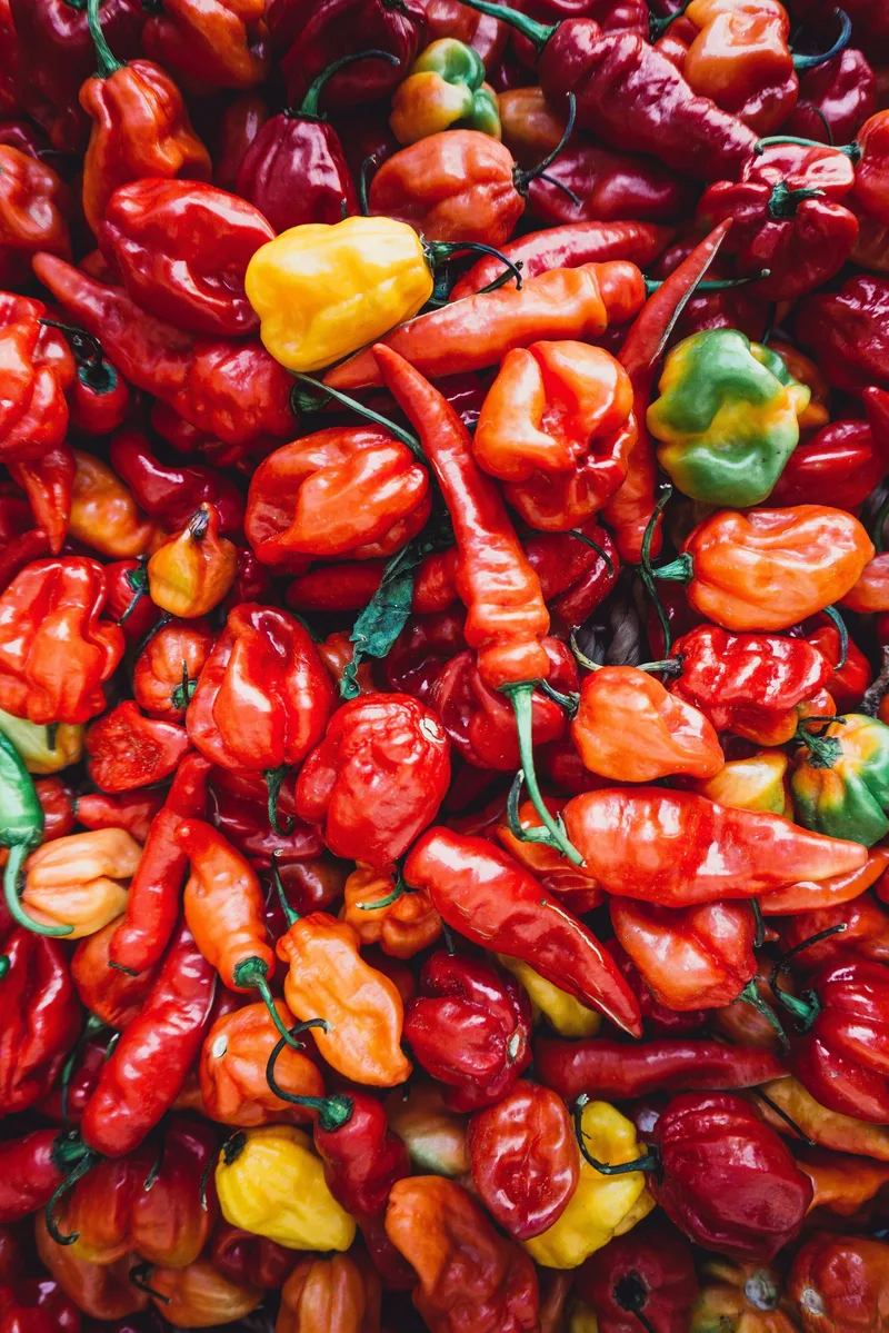 Bold chilli texture and a strong palette fit
