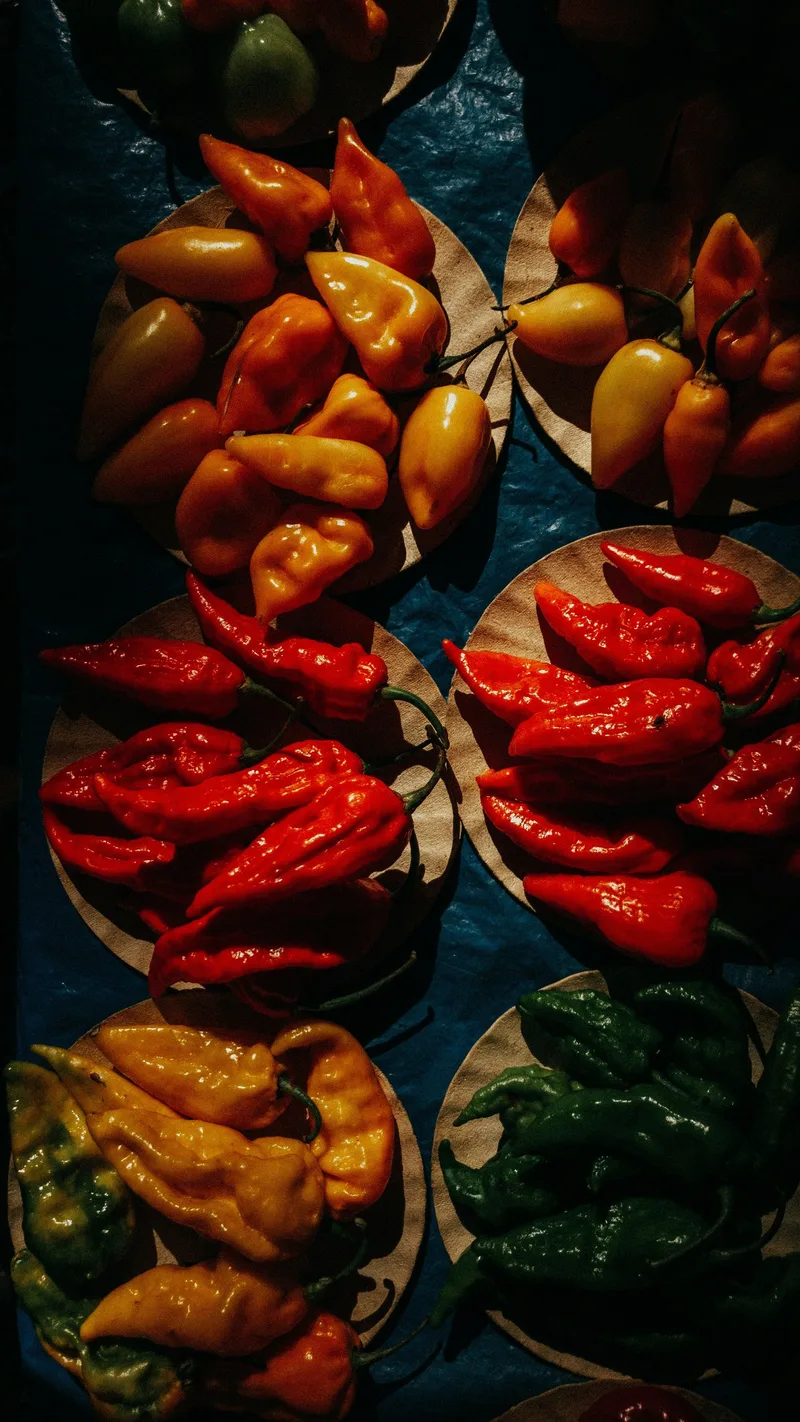 Excellent dark red chilli image and strong Aztec palette fit