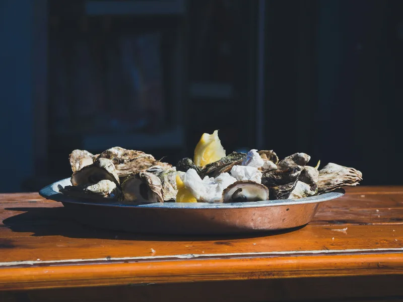 Restrained oysters on a dark coastal-toned table with excellent Linen palette compatibility